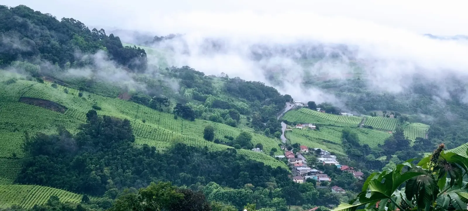 Vale dos Vinhedos visto de Bento Gonçalves